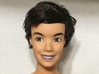 Barbie My Scene River Ken Doll Articulated Jointed Rooted Brunette Hair Rare
