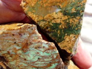 Rimrock: 1.  30 Lbs Rare Chinese Variscite Rough