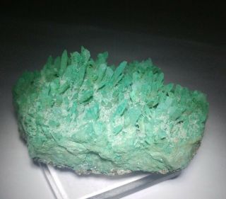 Rare - Green Kobyashevite & Gypsum On Calcite Crystals,  Ojuela Mine Mexico