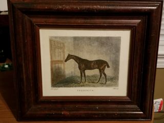 J.  Webb Engraved Framed Print Of Horse " Fredrick " And J.  Barenger The Printer