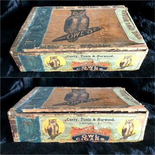 Rare Antique The Owl Brand Cigar Box 5 Cent 1901 Tax Label Vtg Straiton Storm