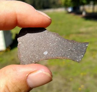Rare Meteorite Sahara 97079 - Eh3 (primitive Enstatite Chondrite) 5.  0g Thin Slice