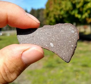 RARE Meteorite Sahara 97079 - EH3 (primitive enstatite chondrite) 5.  0g THIN Slice 2
