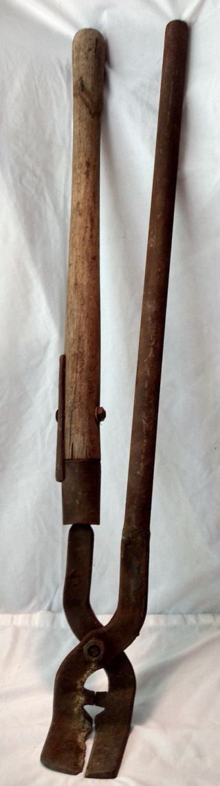 Antique Primitive Massive Clippers Bull Castration Tool 1800 - 1900s Cast Iron Vtg