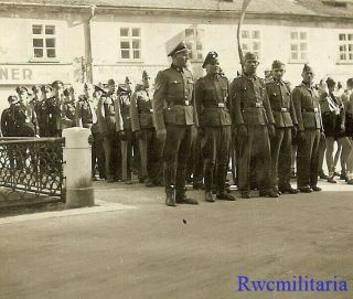 Rare German Elite Waffen Officers & Troops Lined By Uniformed Pimpf Boys