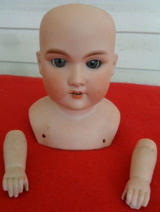 Antique German Armand Marseille Bisque Doll Head With Hands A - 2 - M