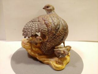 Boehm Rare Mearns Quail Bird Limited Edition Figurine 467 Female With Chicks