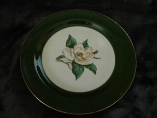Vintage Homer Laughlin Jaderose Lifetime China Co.  Rare Lunch Plate 8 3/8 " /great