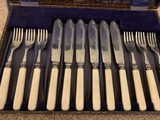 Cased Set Of 6 Fish Knives & Forks,  Hallmarked Silver Collard,  Bone Handles 2