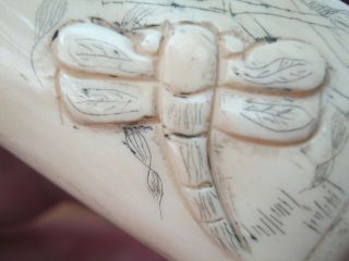Hand Carved Bovine Bone Inro With Scenes Of Dragonfly & Carved Ojime Beads 3