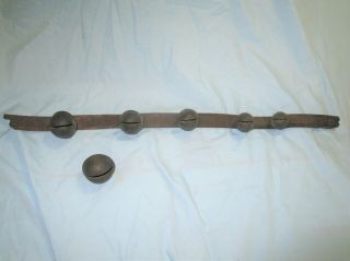 7 Antique Brass Sleigh Horse Jingle Bells & Leather Belt From Before The 1930 