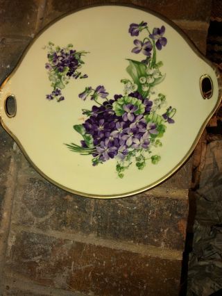 O & E G Royal Austria Hand Painted Antique Floral Cake Plate Signed By Fann