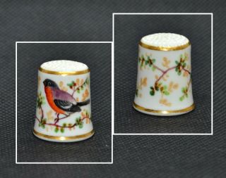 Rare Antique Royal Worcester Hand Painted Bird Thimble 19th Century
