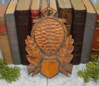 Vintage Carved Wood German Shield Plaque For Deer Antler Trophy Mount