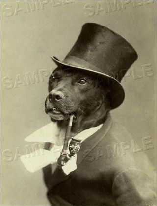 Antique Dressed Dog With Top Hat & Pipe Vintage Canine Photo Canvas Art Print