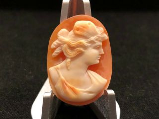 Antique Hand Carved Shell Cameo Of Psyche Roman Numerals In Back
