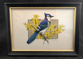 Vintage Art Blue Jay Yellow Flower Bird Framed Artwork