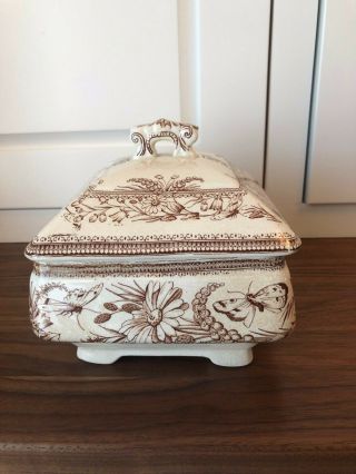Antique Brown And White Transferware Covered Dish Dragonfly 