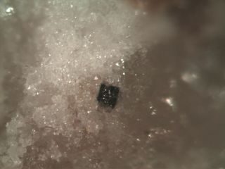 Lueshite Rare Mineral Micromount From Canada