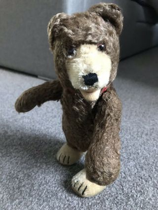 Early Rare Antique 9” Mohair Brown “teddy Baby " Bear No Id Red Collar Buy Now Nr