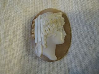 Antique Victorian Quality Hand Carved Sea Shell Cameo Plaque C1880