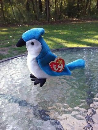 Ty Rocket Retired Beanie Baby With Ultra Rare Errors Blue Jay Bird Plush Toy
