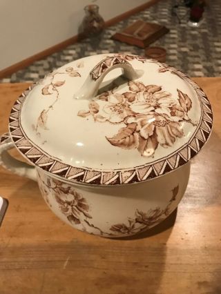 Antique Kent Hanley & Co.  England Floral Lidded Chamber Pot Royal Semi Porcelain