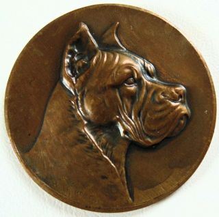Antique Dutch Bronze Dog Medal Boxer By Thierer 1931