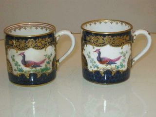 2 Stunning Antique Early 19th Century Porcelain Chelsea Bird Cups Spode/minton