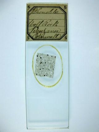 Antique Microscope Slide By J.  T.  Norman.  Petrology.  Phonolite From Wolf Rock.