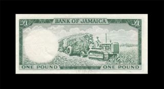 1960 BRITISH COLONY JAMAICA 1 POUND QEII RARE ( (EF)) 2