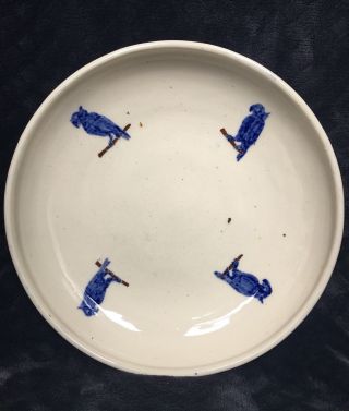 Early 20th Century Hand Thrown Blue White Perched Parrot Porcelain Low Bowl