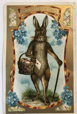 Standing Upright Bunny Rabbit With Walking Stick Antique Easter Postcard - M51