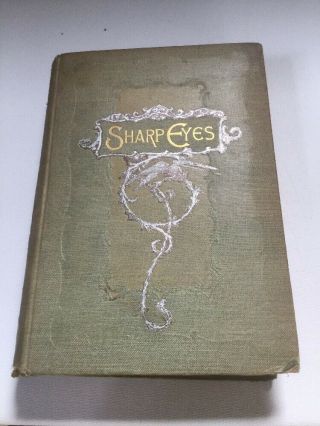 Antique Book Sharp Eyes A Rambler 