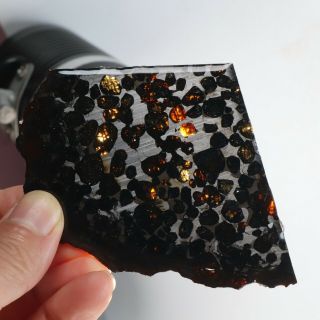 40g Rare Slices Of Kenyan Pallasite Meteorite Olive R1349