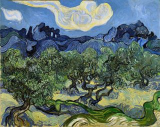 Vincent Van Gogh The Olive Trees Painting Poster Fine Art Reprint A3 A4