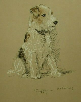 Lucy Dawson 1937 Wire Haired Terrier Dog Print Print 31881 Vintage