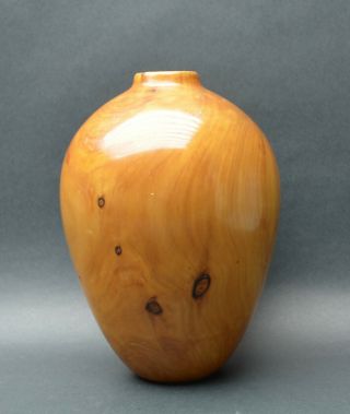 Signed Bill Haskell Wood Hand Carved Turned Vase Bowl
