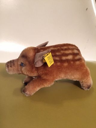 Cute Vintage 60 - 70’s Rare Made In Austria Steiff Mohair Baby Wild Boar Pig