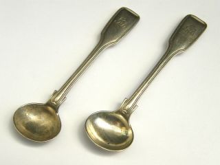 Antique - Rare Solid Silver Fiddle Pattern Salt Spoons - Exeter - Circa 1854