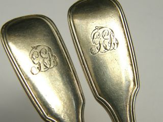 Antique - Rare Solid Silver Fiddle Pattern Salt Spoons - Exeter - circa 1854 2