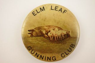Antique Elm Leaf Gunning Club Celluloid Pin Back Mother Pig Piglets Advertising