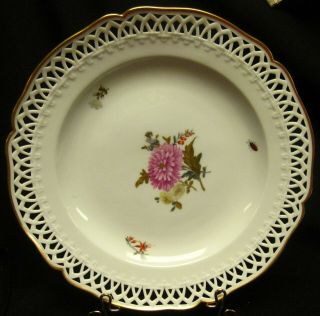 Antique Kpm Berlin Porcelain Plate Floral Ladybug C 1900