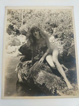 Vtg Antique Photograph 1920s Xan Stark Alta Studios Pictures Women Nude 222