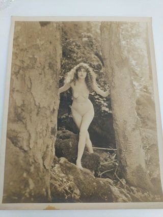 Vtg Antique Photograph 1920s Xan Stark Alta Studios Pictures Women Nude 212