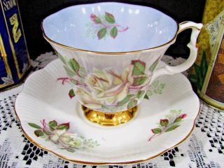 Royal Albert Blue With White Roses Gold Gilt Tea Cup And Saucer