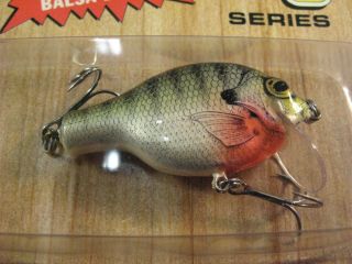 BAGLEY SHALLOW SMALL FRY BREAM FISHING LURE BR4 (1) 2