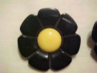 Awesome & Rare 1940 ' s Black & Yellow Daisy Bakelite Clip Earrings 2