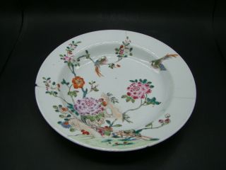 Chinese Qian Long (1736 - 1795) Period Big Famille Rose Plate U5325