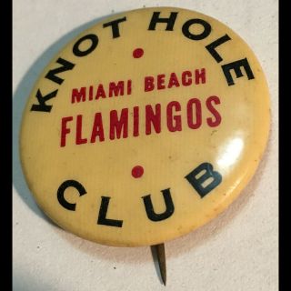 Rare Orig 1940s - 50s Cello Pinback Button - Miami Beach Flamingos Knot Hole Club